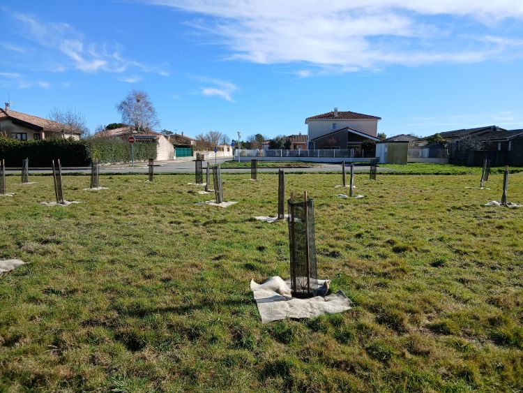 Photo du projet