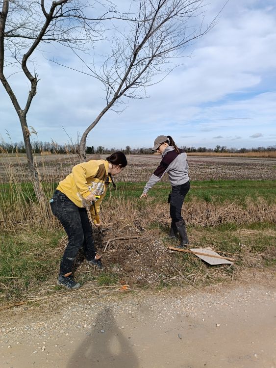 Photo du projet