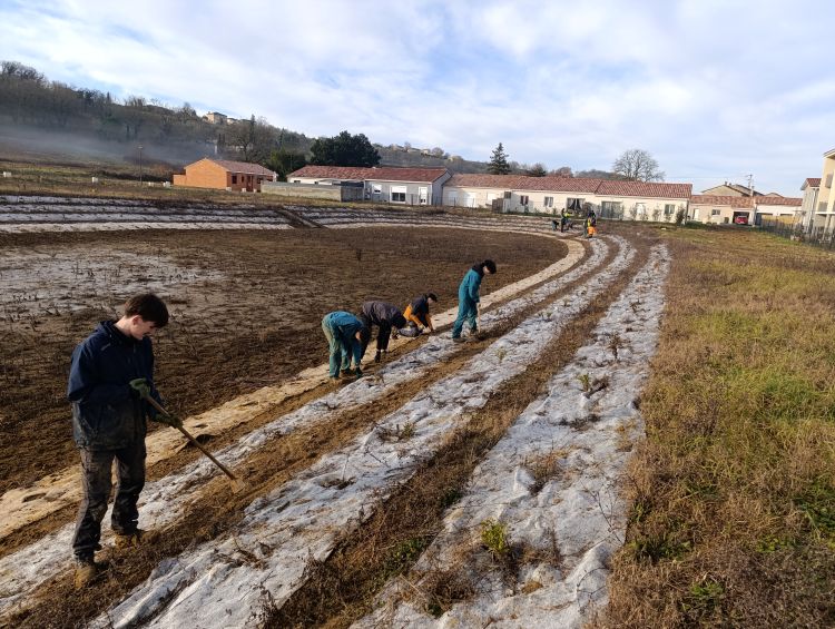 Photo du projet