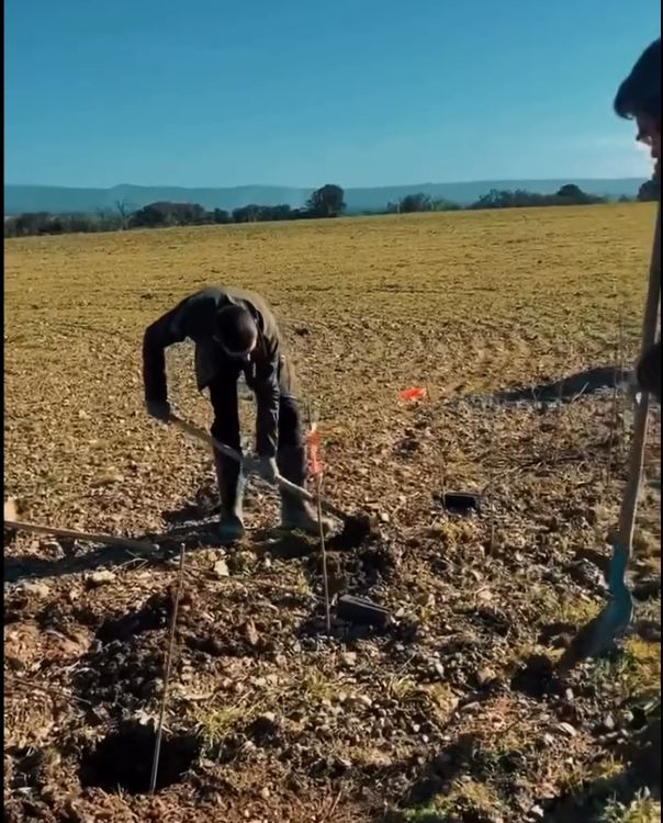 Photo du projet