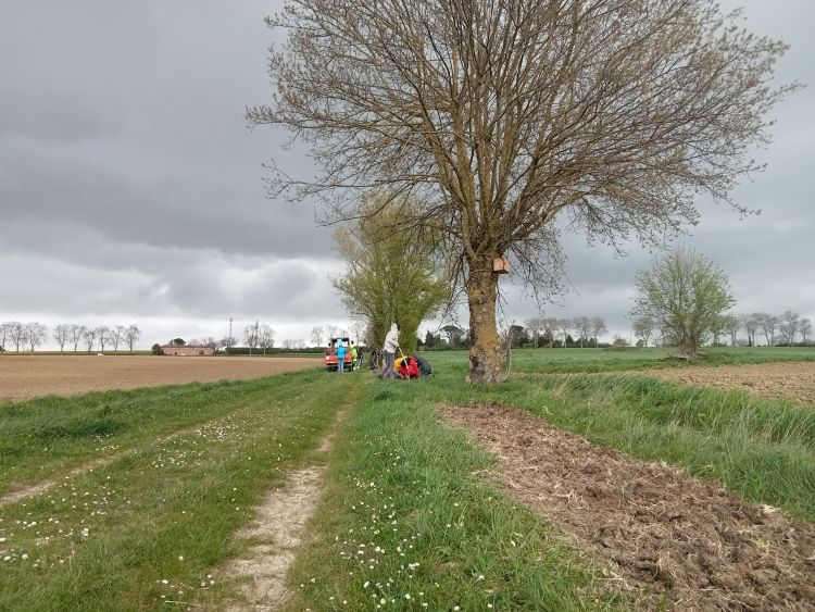 Photo du projet