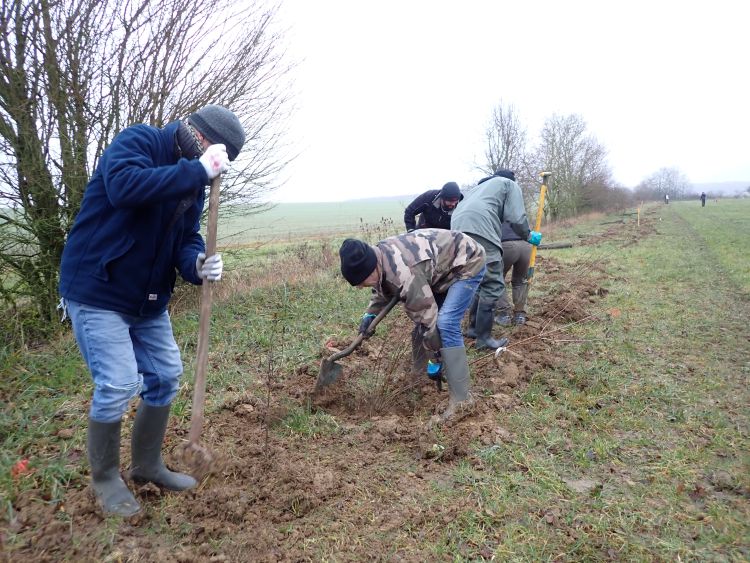 Photo du projet