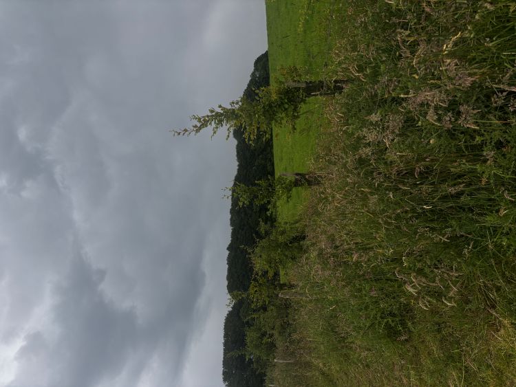 Photo du projet