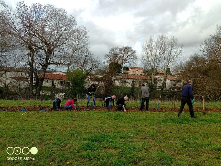 Photo du projet