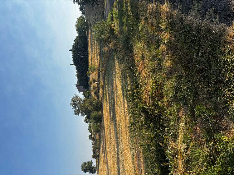Photo du projet