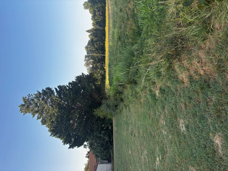 Photo du projet