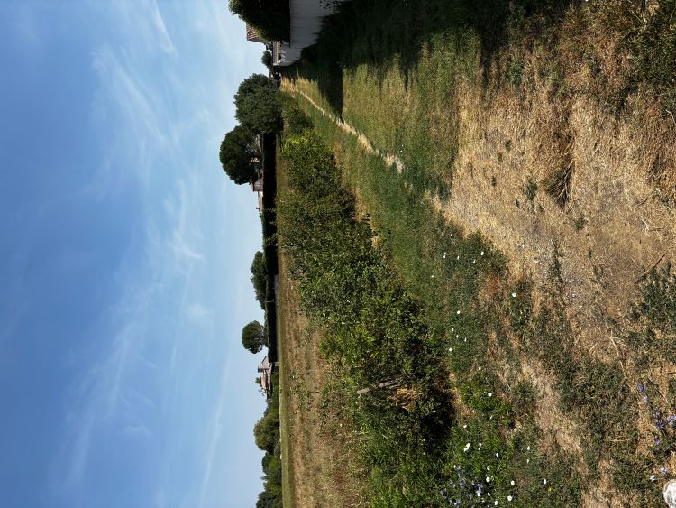 Photo du projet