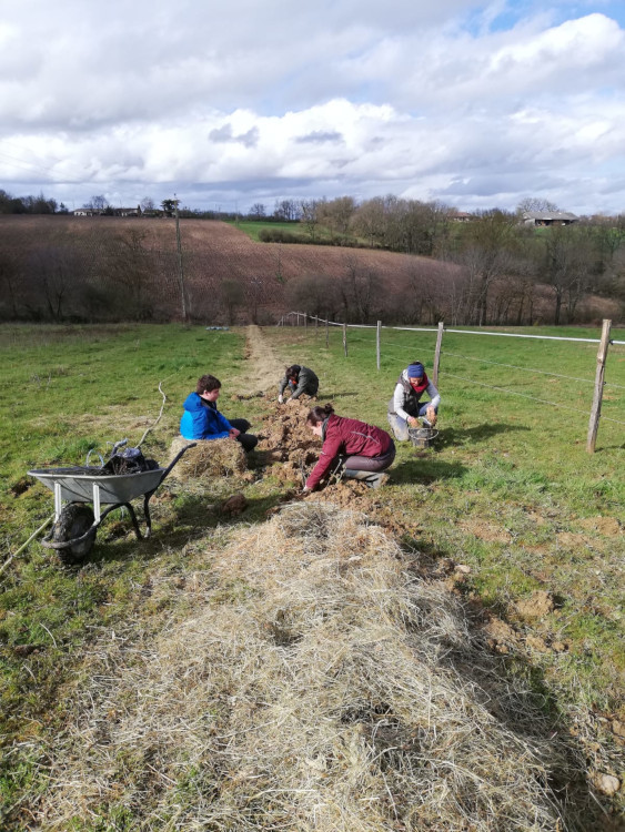 Photo du projet