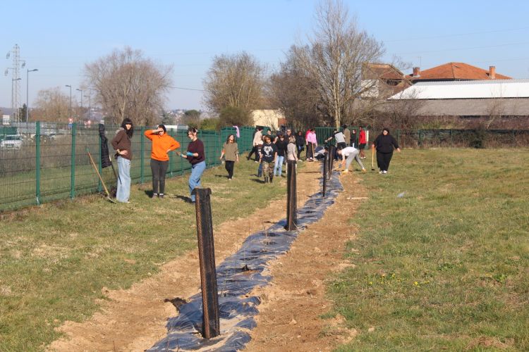 Photo du projet