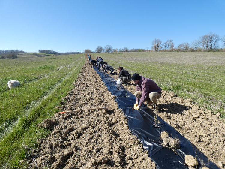 2020_ABIES_Climat_Local